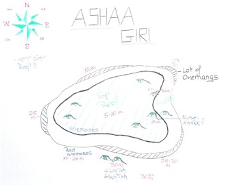 Ashaa Giri